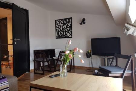 Appartement Svetogorska Tri à Belgrade Extérieur photo